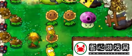 植物大戰(zhàn)僵尸雜交版地刺西瓜投手怎么樣