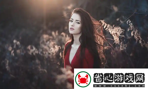 韓國理論大全-友直呼：從文化符號到情感解讀-內容太扎實了！