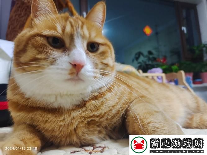 家庭溫情滿滿-兒子一晚上要了我三回-友：真有愛的母子情！