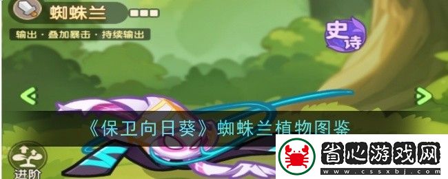 保衛向日葵蜘蛛蘭植物圖鑒