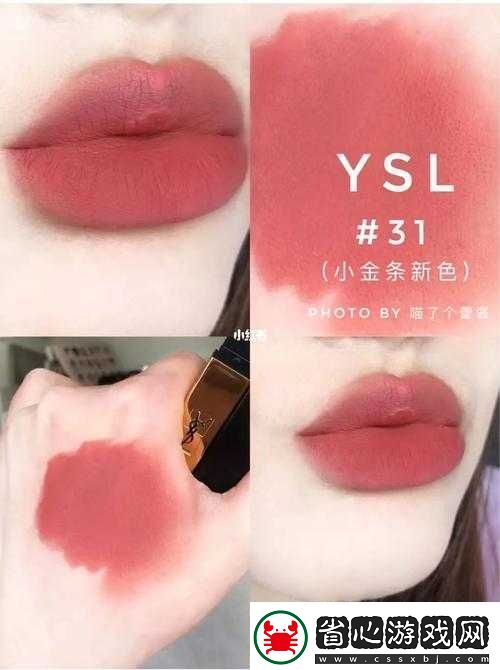 分享Ysl