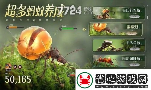 蟻族時代vip等級表