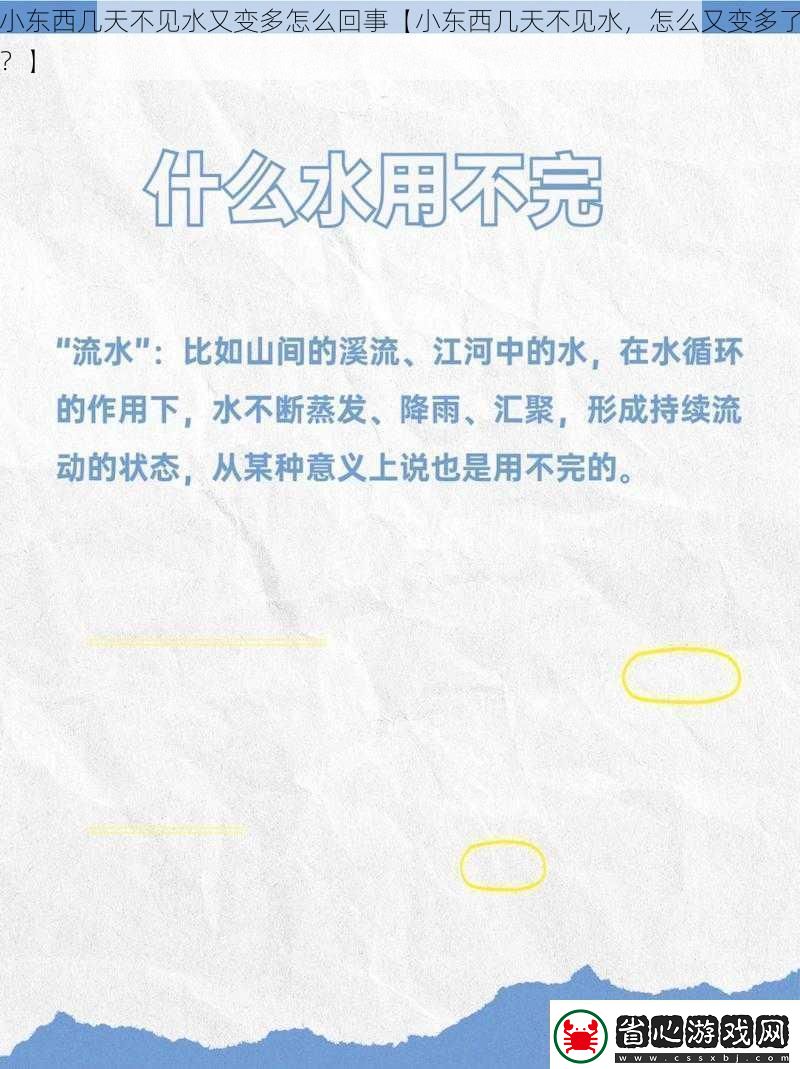 小東西幾天不見(jiàn)水又變多怎么回事【小東西幾天不見(jiàn)水