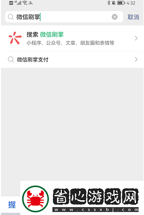 微信怎么刷掌支付