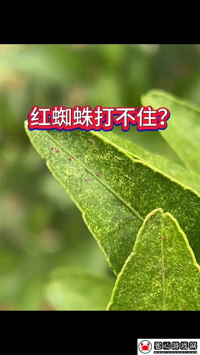 密不可分！面對蜘蛛