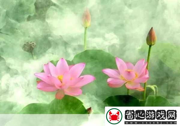 亭亭玉立的荷花國色天香的牡丹