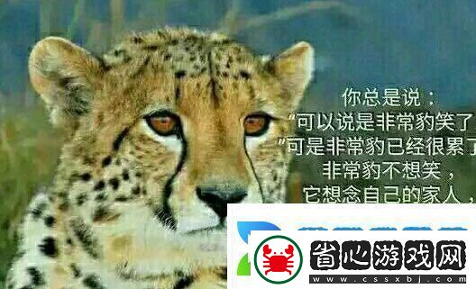 你不知道你不在乎你只關心你自己是什么梗絡用語
