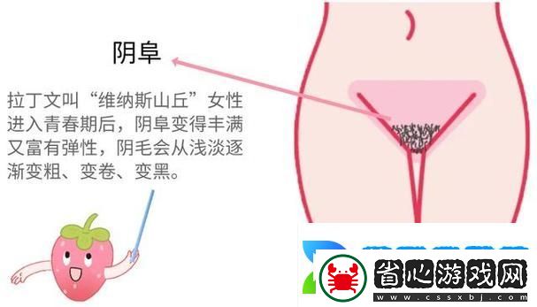 探秘“大蔭蒂bbbbbb大蔭蒂”的獨特魅力與影響