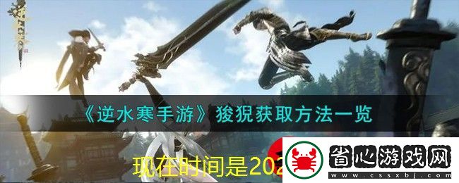 貓之城昵稱個性化設置秘籍揭秘