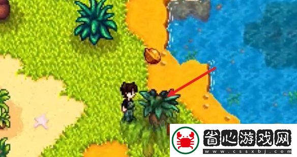 星露谷物語姜島西部金核桃全收集攻略