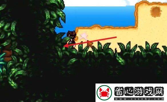星露谷物語姜島北部金核桃全收集攻略