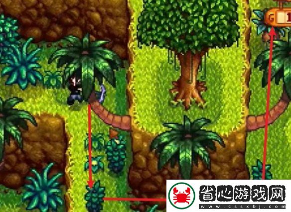 星露谷物語姜島西部金核桃全收集攻略