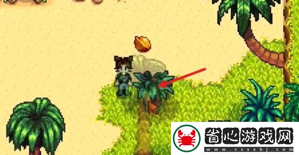 星露谷物語姜島北部金核桃全收集攻略