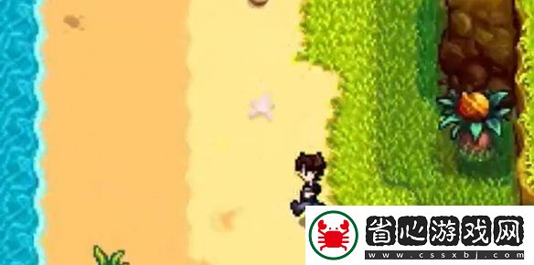 星露谷物語姜島西部金核桃全收集攻略