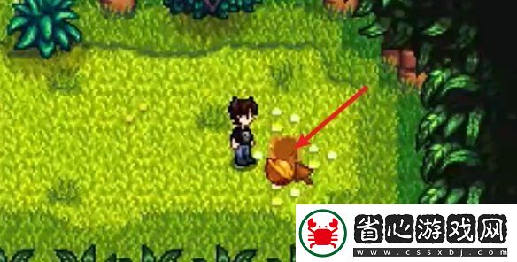 星露谷物語姜島西部金核桃全收集攻略