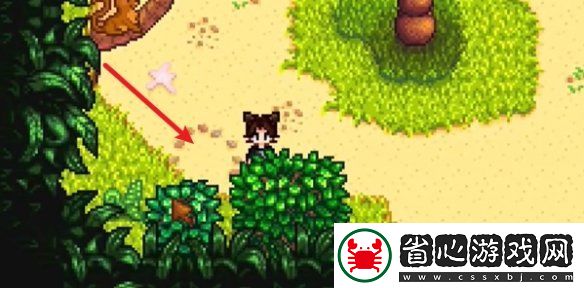 星露谷物語姜島北部金核桃全收集攻略