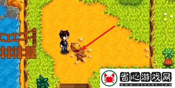 星露谷物語姜島北部金核桃全收集攻略