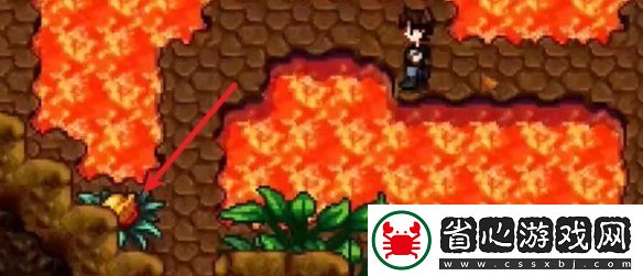 星露谷物語姜島北部金核桃全收集攻略