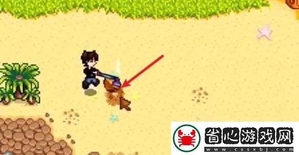星露谷物語姜島西部金核桃全收集攻略