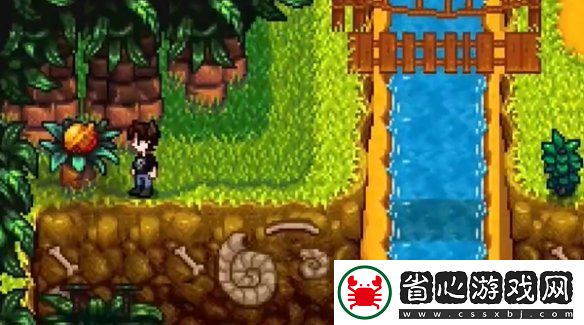 星露谷物語姜島北部金核桃全收集攻略