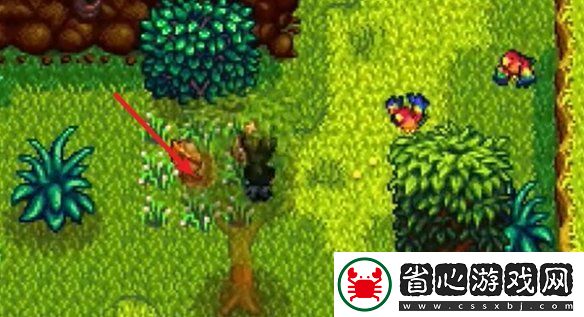 星露谷物語姜島西部金核桃全收集攻略