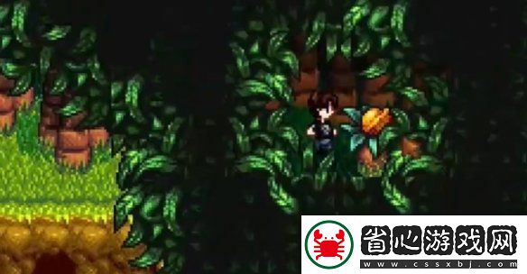 星露谷物語姜島北部金核桃全收集攻略