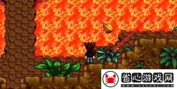 星露谷物語姜島北部金核桃全收集攻略