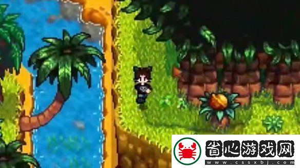 星露谷物語姜島西部金核桃全收集攻略