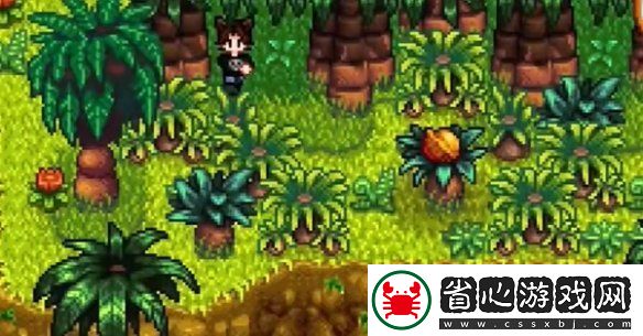 星露谷物語姜島北部金核桃全收集攻略