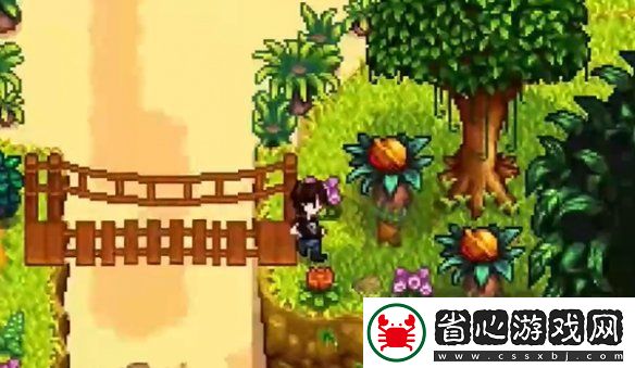 星露谷物語姜島北部金核桃全收集攻略