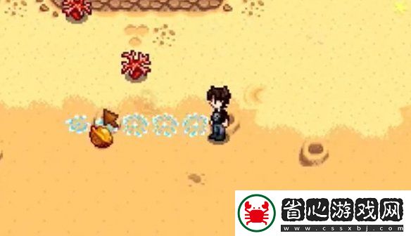 星露谷物語姜島西部金核桃全收集攻略