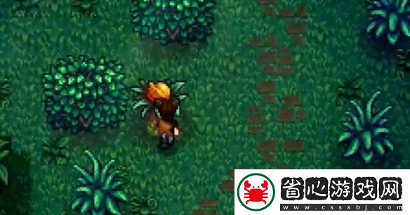 星露谷物語姜島東部金核桃全收集攻略
