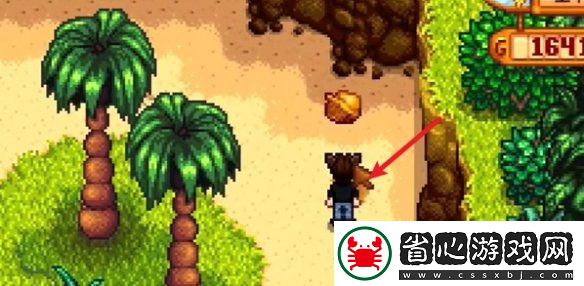 星露谷物語姜島北部金核桃全收集攻略