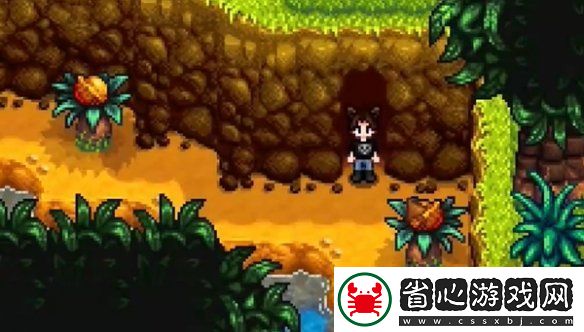 星露谷物語姜島北部金核桃全收集攻略
