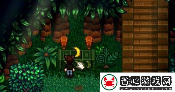 星露谷物語姜島東部金核桃全收集攻略