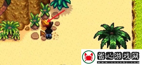 星露谷物語姜島北部金核桃全收集攻略