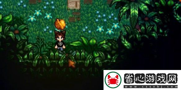 星露谷物語姜島東部金核桃全收集攻略