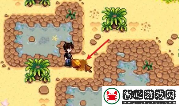 星露谷物語姜島西部金核桃全收集攻略