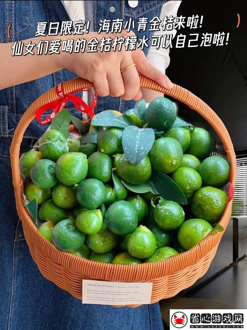 青檸視頻在線觀看-用戶評論：-從創意到體驗-帶你走進一個新視角的絡世界