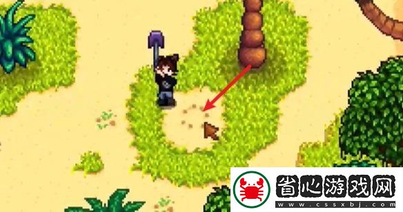 星露谷物語姜島北部金核桃全收集攻略